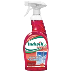 Płyn do szyb z octem LUDWIK 750ml